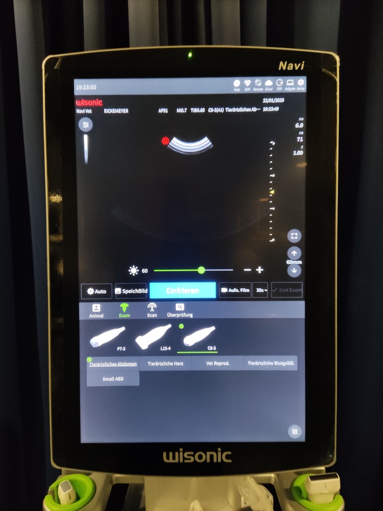 Navi Vet 3