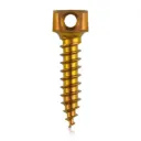 Bone anchor screw Ø2.0 x 9mm, gold 