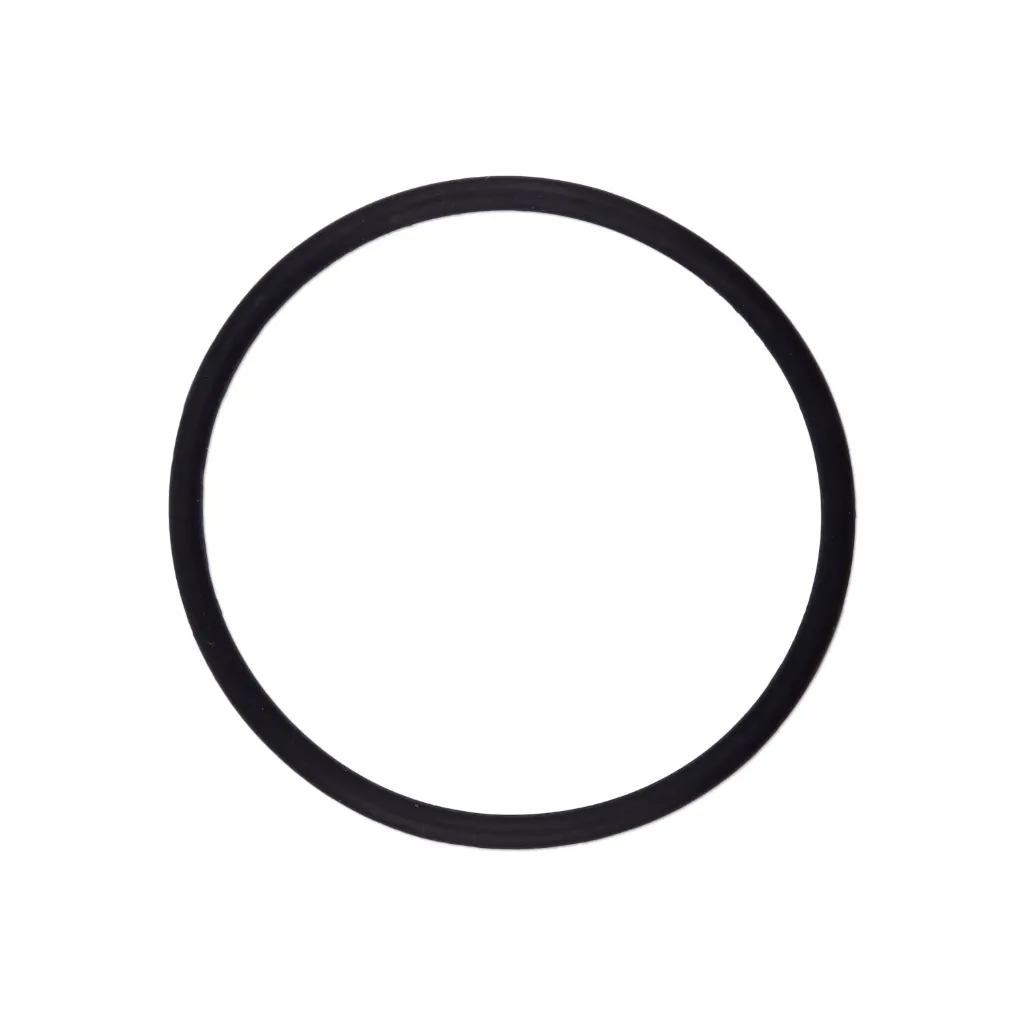[E21304008] Sealing ring for inspiration and expiration valve covers for NarkoVet PRO 213040
