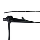 Clearance: EickView video endoscope 100 HD, length = 100 cm, outer Ø = 6 mm, working channel Ø = 2 mm