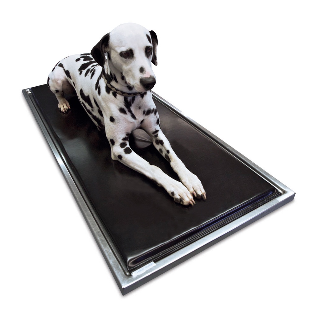 Mattress for treatment table size 2 1250x555x20 mm, suitable for table top size 1300x600 mm