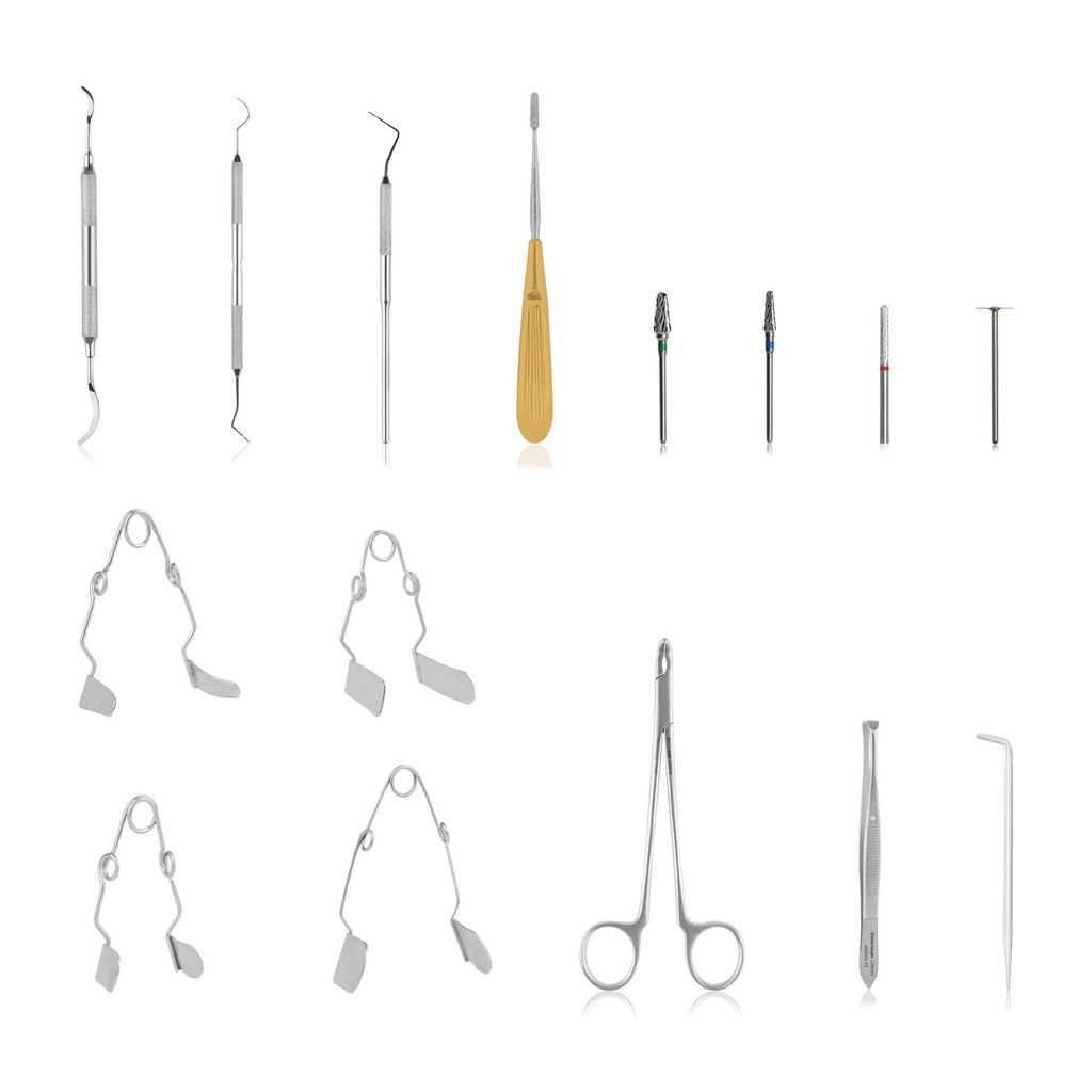 Starter kit for the diagnosis and treatment of dental diseases in rabbits and small rodents