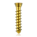 Titanium locking screw Ø2.3x12mm multi-directional, golden, Torx 6 self-drilling, self-tapping