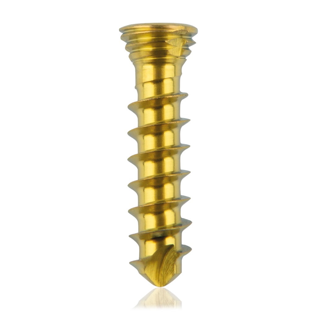 [185529] Titanium locking screw Ø2.3x10mm multidirectional, gold, Torx 6 self-drilling, self-tapping