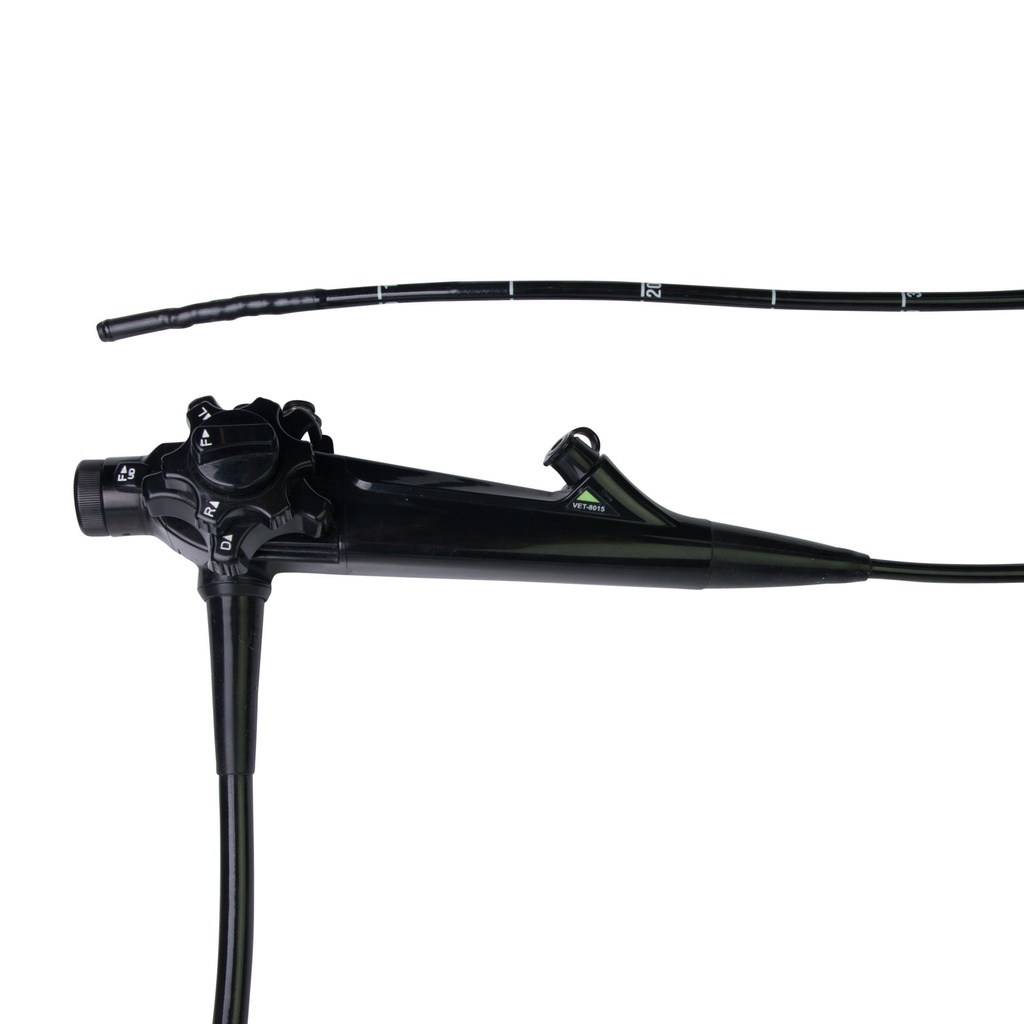 EickView video endoscope 100 HD, length = 100 cm, outer Ø = 6 mm, working channel Ø = 2 mm