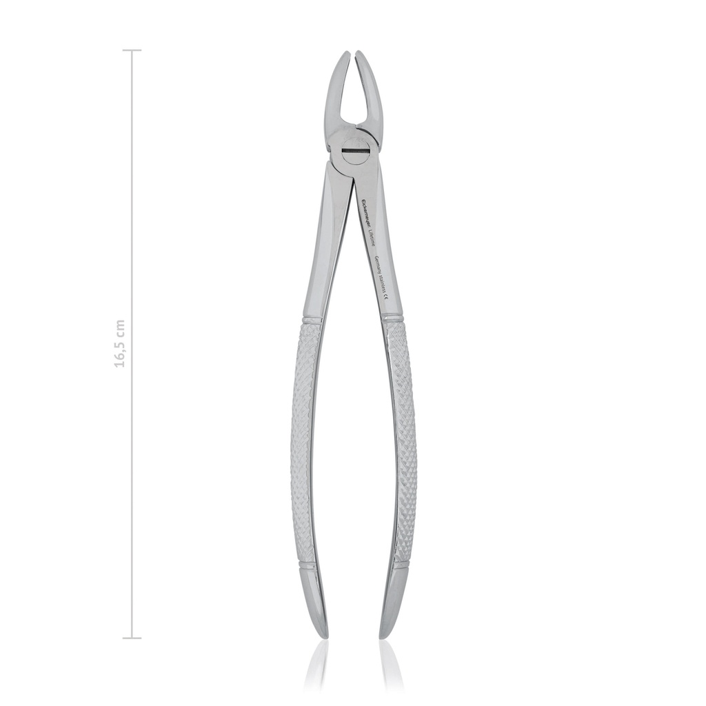 [176017] Tooth forceps fig. 1, 16,5 cm, 6 1/2"  