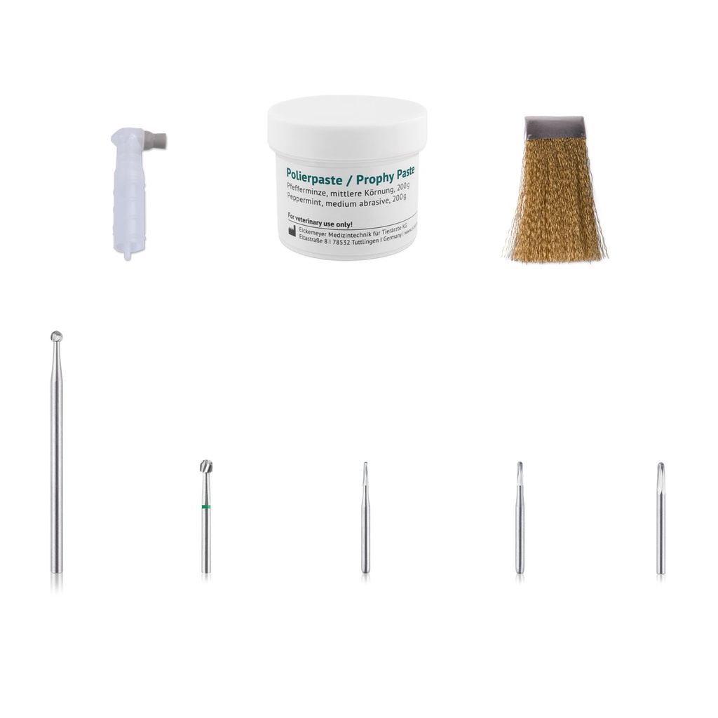 Profident Starter Kit Export Dental 