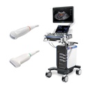 Promotional package 1 Vetus 7 Probes included in promotional package 1 ƒí Micro-convex: 2.6 ¡V 12.8 MHz (C11-3s / Art. No. 305056) ƒí Linear T-shaped: 4.4 ¡V 13.5 MHz ( L12-4s / Art. No. 305057)
