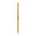 EickLoxx S-Type bone plate 18-hole, 212 x 12 x 4.5mm, titanium gold