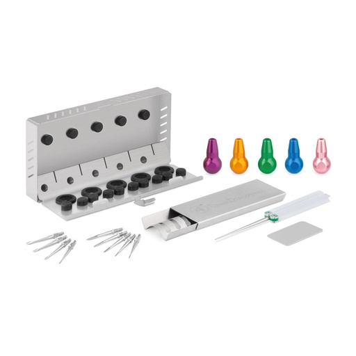 [175070] DENTANOMIC Set – Gold, consisting of 5 standard handles (purple, orange, green, blue and pink) + elevator- and luxator-blade set (9 pcs) + storage rack + honing set + sterilisation container